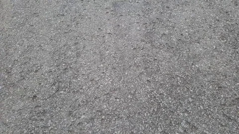 Road in a vineyard in dawn Stock Footage 129514030