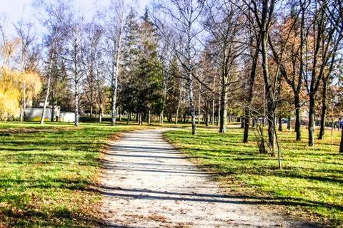 A road way in the park with trees. Ukraine.  A city Sumy. Stock Photos