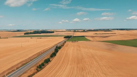 Road in wheat and rye fields under blue sky and clouds. Aerial view. Stock Footage 93287557