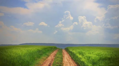 The road in the wheat field Stock Footage 5500422