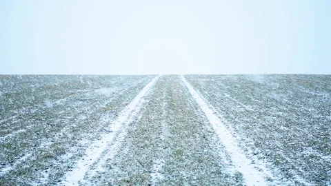 The road on wheat field Stock Footage 104814599