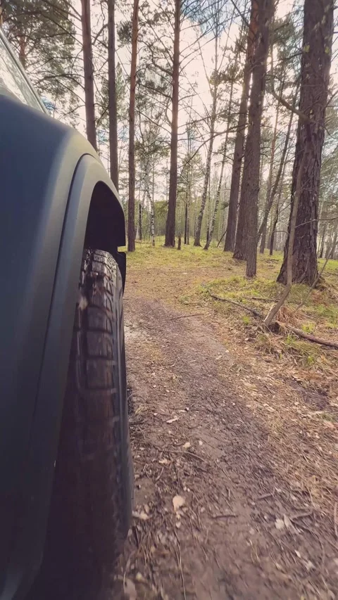 Off-road wheel close-up riding through the forest. Exploring the serene forests Stock Footage 312449461