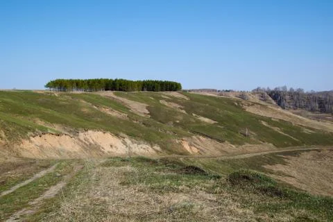 The road which is going down on a green slope with trees on top, Siberia Stock-Fotos