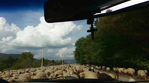 A road on which vehicle traffic is restricted due to its blockage by a larg.. Fotos Stock