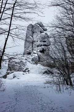 The road in the white snow between trees and rocks Stock Photos
