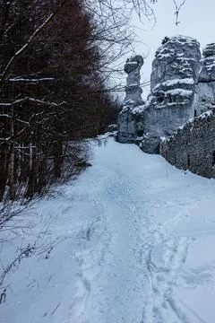The road in the white snow between trees and rocks 스톡 사진