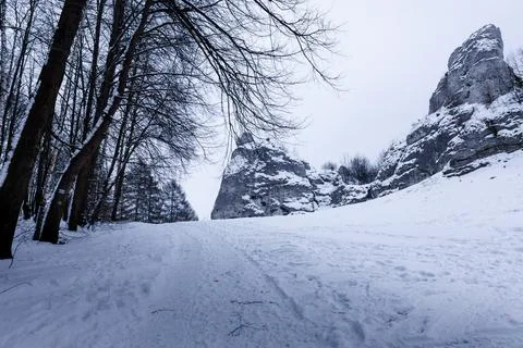 The road in the white snow between trees and rocks 스톡 사진