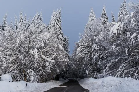 Road to white world Foto stock
