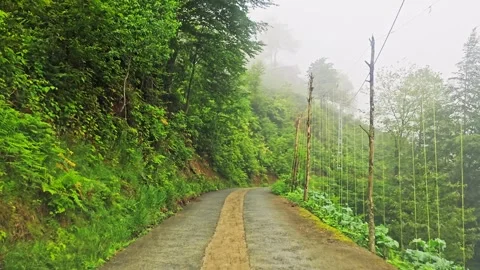 A road that is winding. Stock Footage 282840911