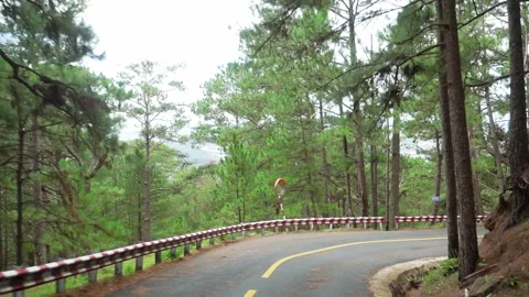 The road in the winding pine forest Stock Footage 147021976