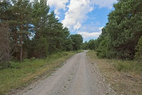 Road winding through forest. Stock Photos