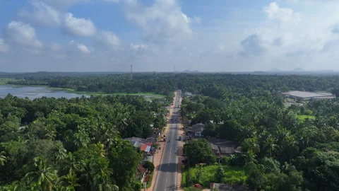 Road winding through lush greenery and serene water bodies Stock Footage 302232658