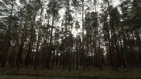 The road from the window of a fast-moving car in the evening with glare and refl Stock Footage 221789100