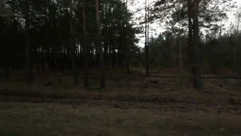 The road from the window of a fast-moving car in the evening with glare and refl Stock Footage 221789116