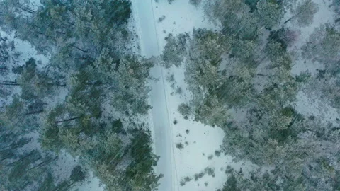 Road winds between snow-covered conifers in a winter forest 스톡 동영상 176749184