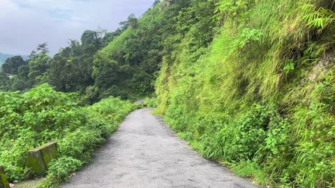 This road winds its way between a mountain on one side and a ravine on the Stock Footage 334470052
