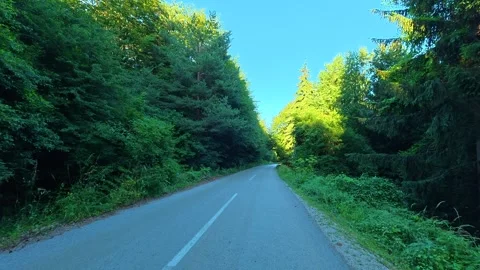 Road winds through dense green forest. Kozji Kamen hiking path, Serbia Vídeos de archivo 342342128