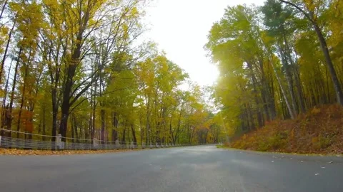 Road winds through forest in autumn Stock-Footage 312537535