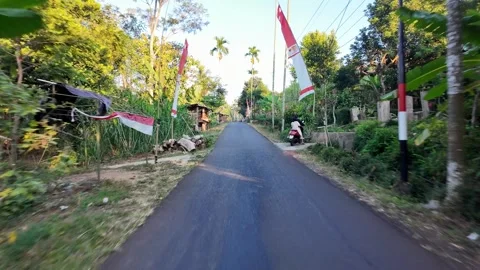 Road winds through lush green jungle Stock Footage 345196191