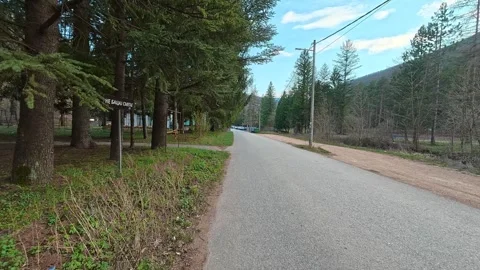 Road winds through pine trees under blue sky. Grza River Spring, Serbia Video stock 332374164