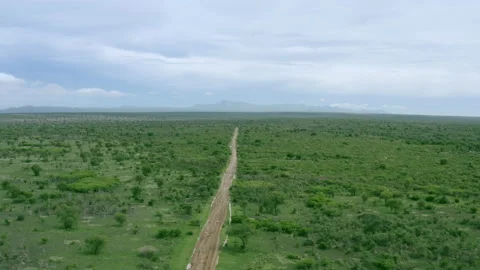 Road winds through trees and bushes in the Omo Valley, Ethiopia Vídeo Stock 154494116