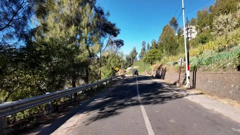 Road winds through trees and hills under bright sun Видео 345141444