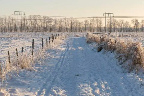 Road in Winter Field Stock Photos