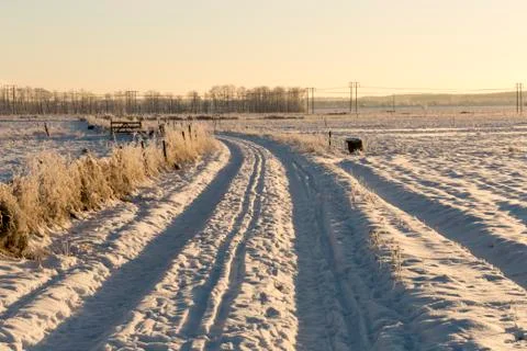 Road in Winter Field Stock Photos