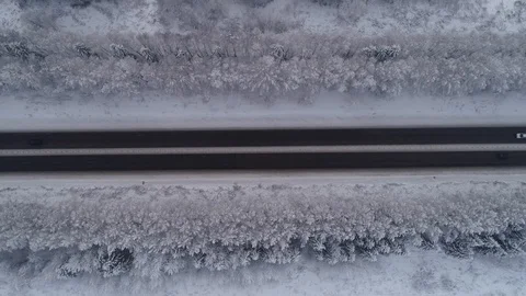 Road in winter Stock Footage 100242600