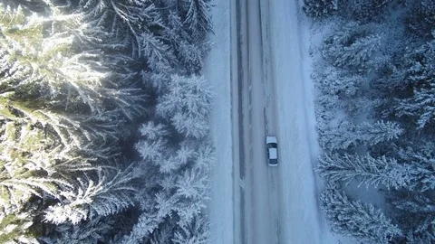 Road in the winter forest. Aerial View. Stock Footage 80759444