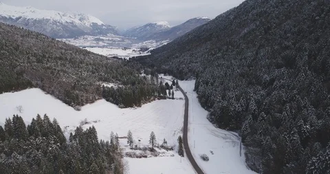 Road In The Winter Forest. Aerial View. Ballino, Trentino. Italy Stock Footage
