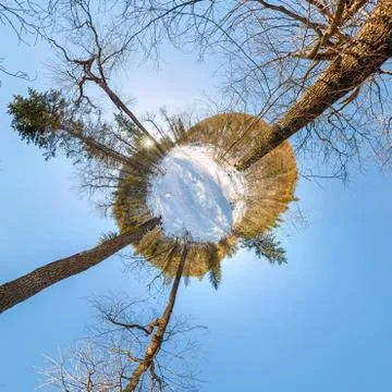Road in the winter forest at dawn. tiny planet 360 panorama Stock Photos