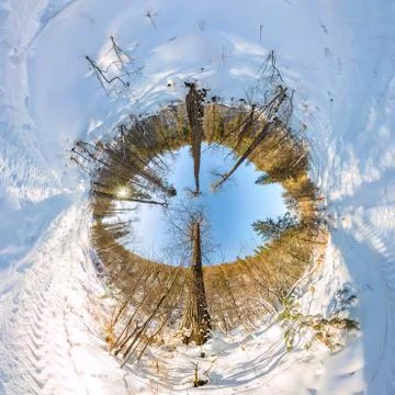 Road in the winter forest at dawn. tiny planet 360 panorama Stock Photos