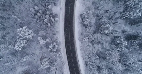 Road in the winter forest. Heavy snowfall. Aerial View. Siberian taiga. Video stock 81157085