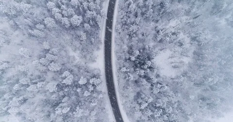 Road in the winter forest. Heavy snowfall. Aerial View. Siberian taiga. Video stock 81157160