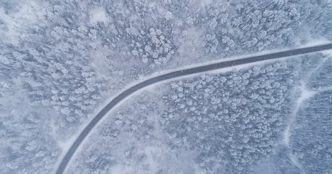 Road in the winter forest. Heavy snowfall. Aerial View. Siberian taiga. Video stock 81157330