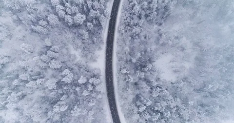 Road in the winter forest. Heavy snowfall. Aerial View. Siberian taiga. Video stock 81157338