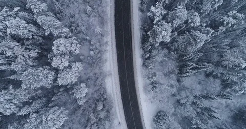 Road in the winter forest. Heavy snowfall. Aerial View. Siberian taiga. Video stock 81157380