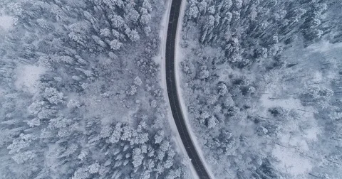 Road in the winter forest. Heavy snowfall. Aerial View. Siberian taiga. Video stock 81157548