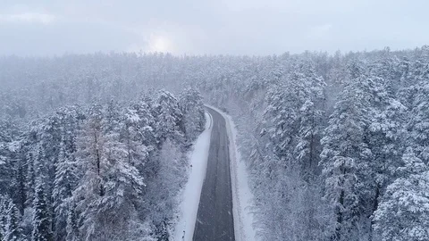 Road in the winter forest. Heavy snowfall. Aerial View. Siberian taiga. Video stock 81157685