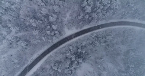 Road in the winter forest. Heavy snowfall. Aerial View. Siberian taiga. Video stock 81171260