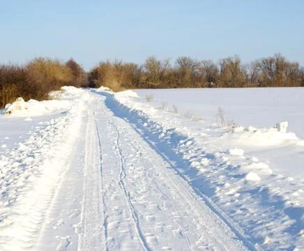 Road in winter forest Stock Photos