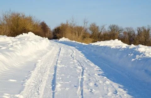 Road in winter forest Stock Photos