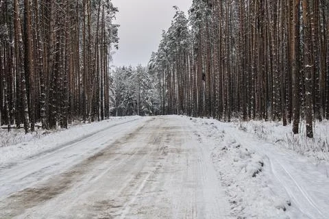 Road in the winter forest Stock Photos