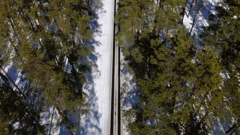 Road in winter forest surrounded by green pine trees. Stock Footage 88078698