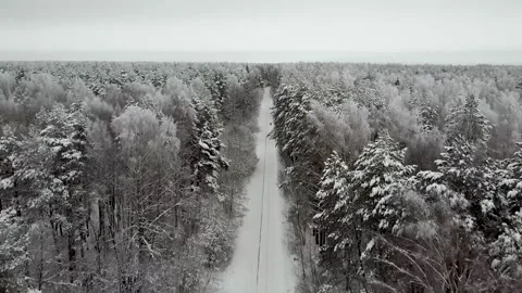 A road in a winter forest, a view from a drone 動画素材 146840792