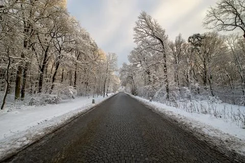 Road in Winter II Foto stock