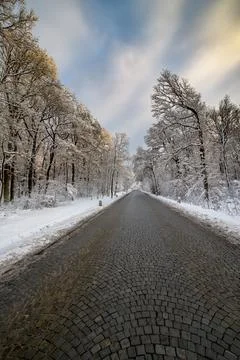 Road in Winter III Stock Photos