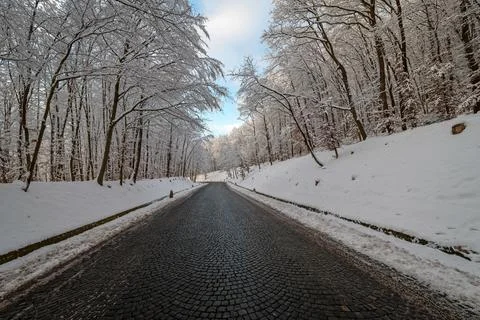 Road in Winter IV Stock Photos