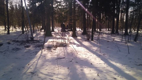 Road in winter park. Rays of sunlight in frozen tree branches in winter. Video stock 124769003